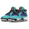 Jordan 4 Golf NRG Torrey Pines CZ2439-300