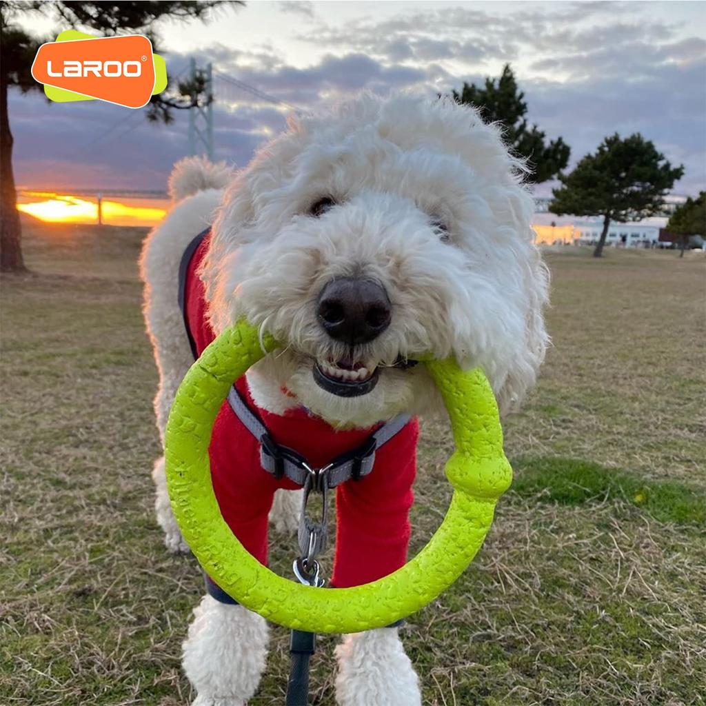 LaRoo Teddy Hund Dental Kauspielzeug Langlebig für Kleine Runde Frisbee 18cm Stressabbau und Mittel für Haustierintelligenz Schwimmendes Trainingsspielzeug, Hunde,