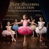 Puffy Baby Girl Ballet Skirt Short Sleeve Party Dance Dress Ballet TuTu Dress  Gymnastic
