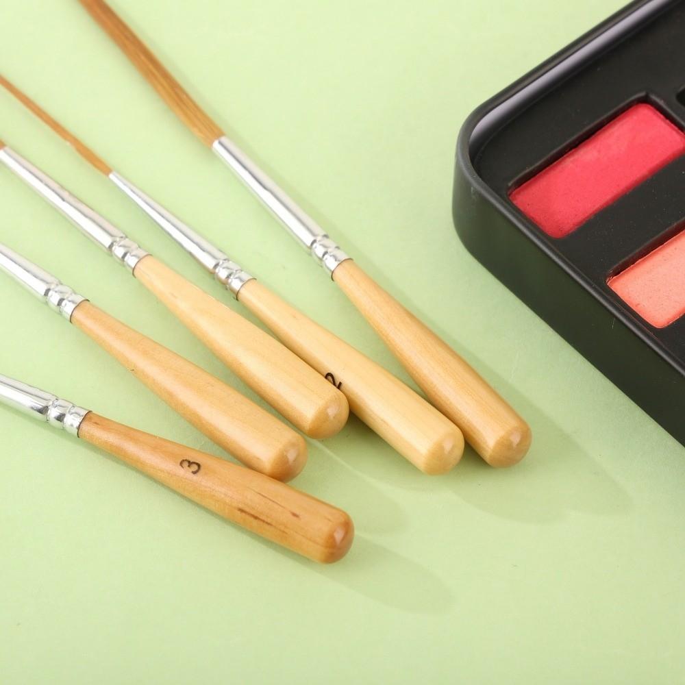 5Pcs Smooth Strokes Painting Brush Set Soft Elastic Bristles Art Paint Brushes  Comics Painting