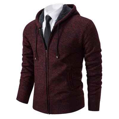 Veste pull épaisse à capuche pour hommes en automne et en hiver, nouveau style, cardigan en velours pour jeunes hommes, pull à col à capuche pour hommes