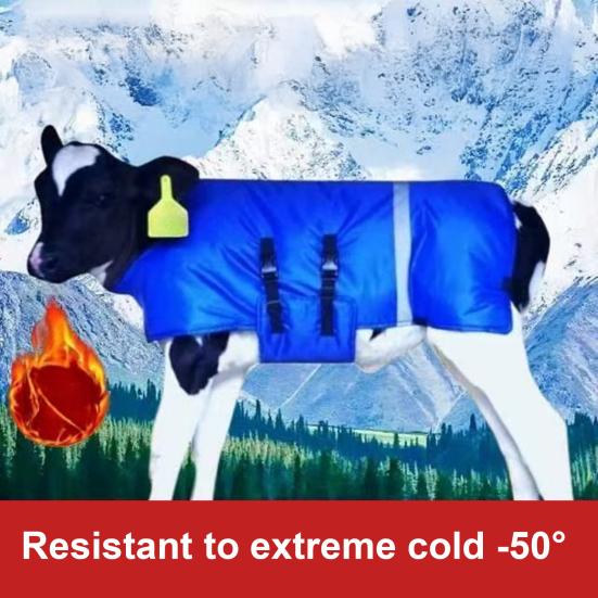 Winter Cow Blanket Waterproof Quilted Horse Blanket with Belly Wrap Windproof Plush Lined Turnout Blanket with Adjustable Buckles for Calves Horses