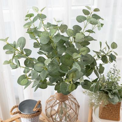 Nordic Eucalyptus Money Leaf Simulation Flower Accessories Pphotography Rops Home Decoration Wedding Plants Wall Fake Flowers
