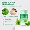 Whole Body Deodorant - Refreshing Mint Scent, Long-lasting Odor and Gentle Underarm Care - Nourishing The Skin and Staying Dry - 72 Hours of Fragrance