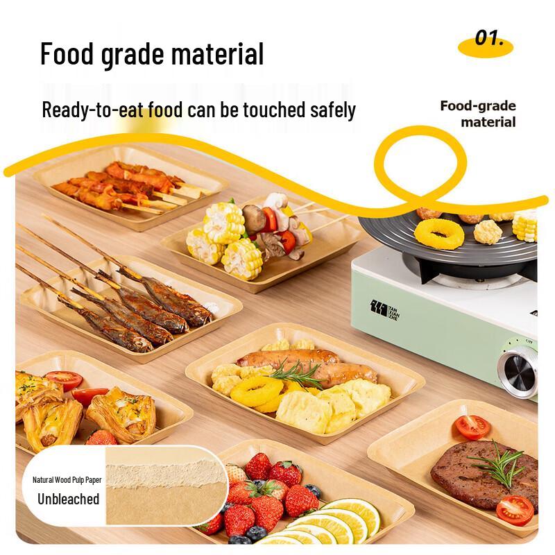 Temeiju Disposable Kraft Paper Plates for Camping & BBQ