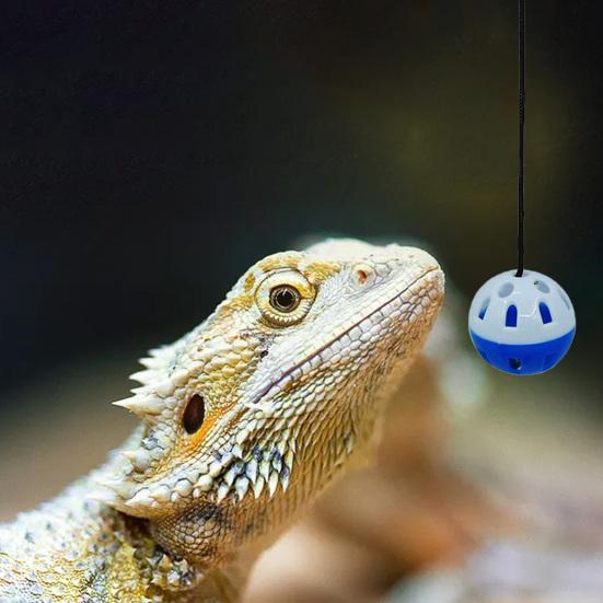 Bearded Dragon Toy with Suction Cup and Rope Exercise Game Colored Bell Ball Toy Reptile Toy for Small Animals