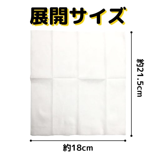 Disposable Paper Hand Towels, Commercial Use, Made In Japan, 500 Individually Wrapped, Flat, White, Plain, Webtet