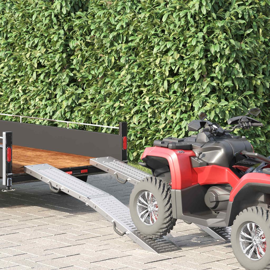 Rampa Pieghevole Capacità di Carico 200 kg per Rampa 2 pz Argento 166 x 23 x 4,5 cm