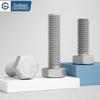 GUWANJI 8.8 Grade Hot-Dip Galvanized Hex Head Bolts