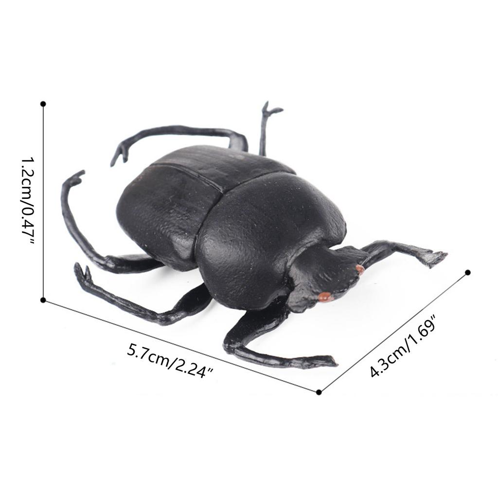 Neues Kinder-Simulations-Insektenmodell Solide Kognitionswissenschaften Bildung Mücken Halloween Streich Lustiges Spielzeug Geschenk