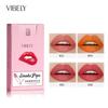Matná rtěnka VIBELY Small Tube 4ks v krabičce Nesmí snadno spadnout Barva Sametová nespadnoucí Barevný make-up