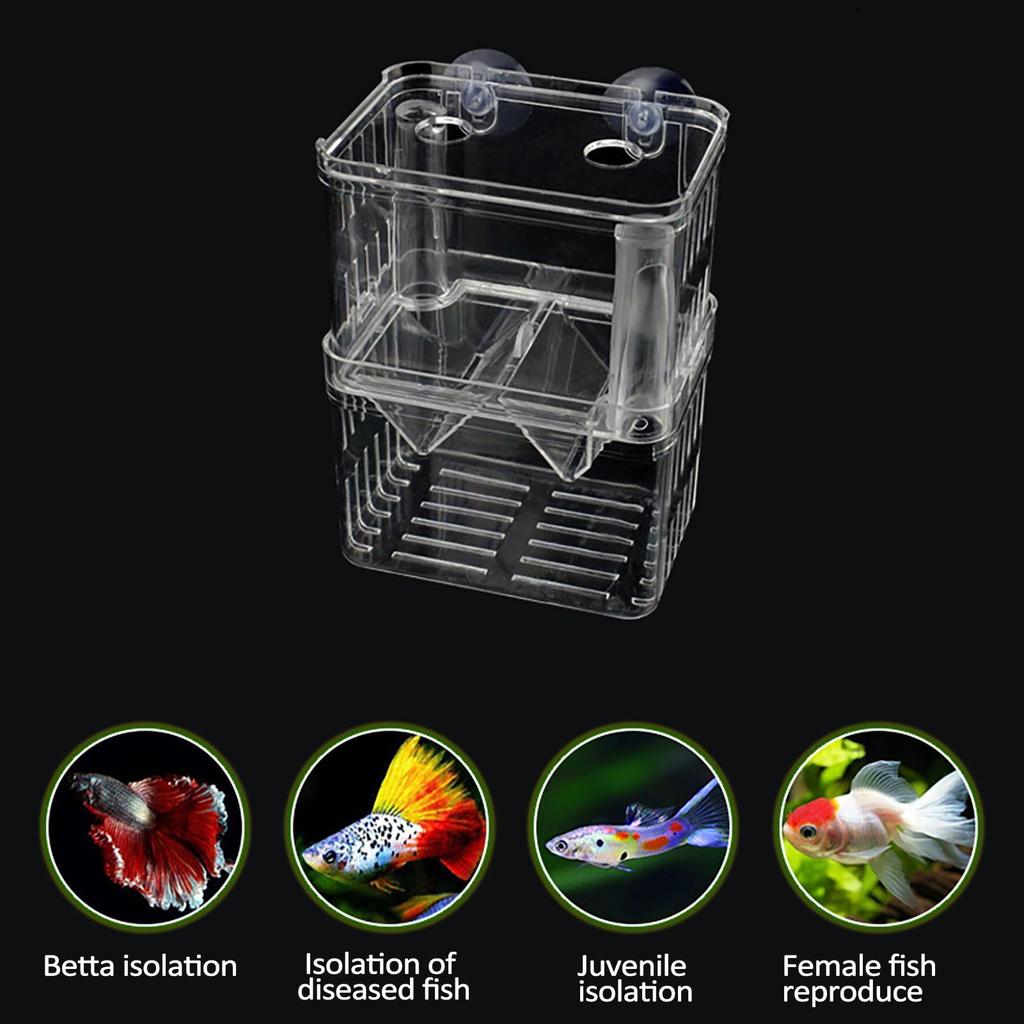 Aquarium Fish Breeder Box Clear Betta Fish Tank Fish Breeding Isolation Box Hatching Incubator Box For Baby Fish Shrimp Trap Box