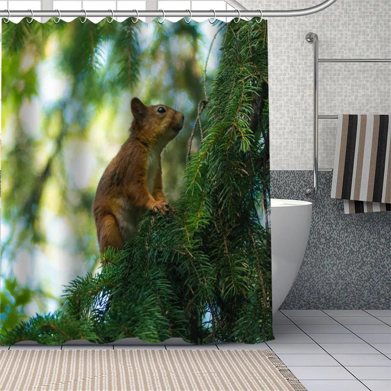 

Cute Squirrel Pattern Bath Curtain Waterproof Polyester Fabric Shower Curtains Bathroom Screen Bathtub Decoration With Hooks W60H190(CM)-1 Pcs