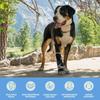 Köpek – Köpek bakım ürünleri