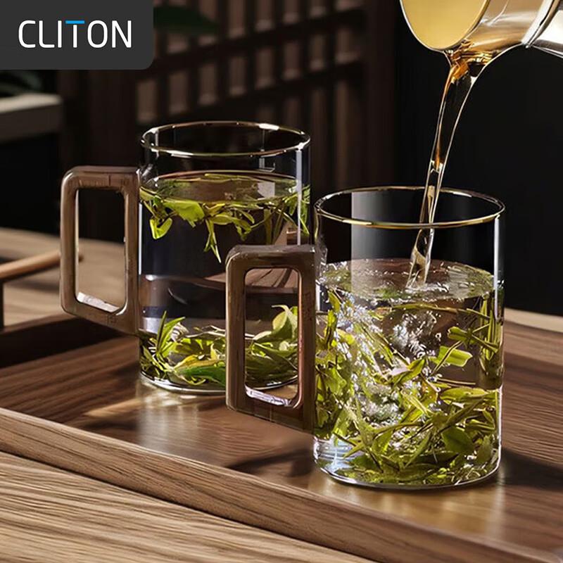 CLITON 500ml Wood Handle Borosilicate Glass Mug