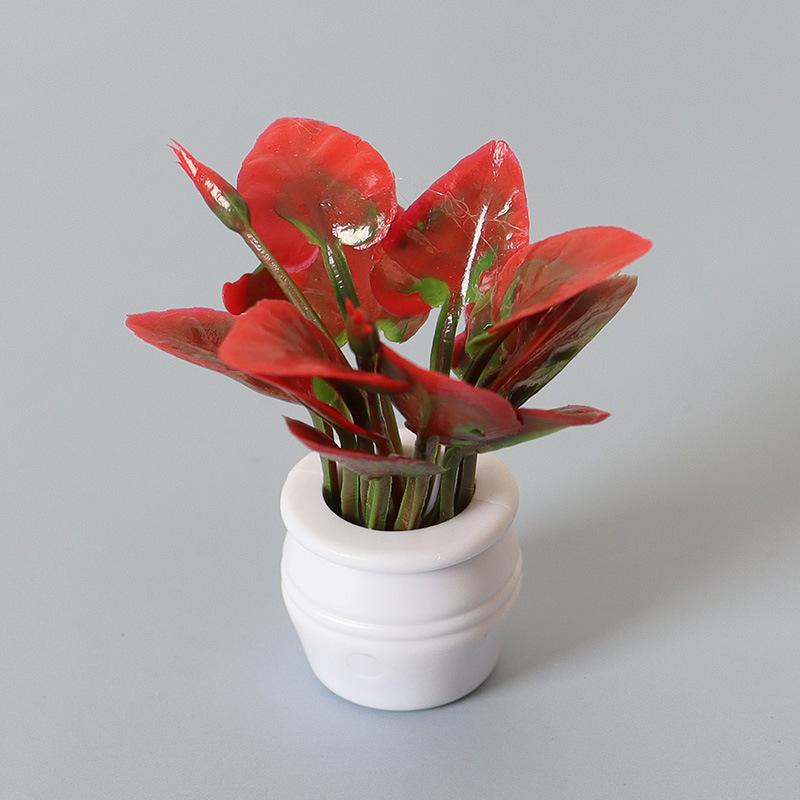 Plant Pot for Indoor Succulents and Small Flower Pot