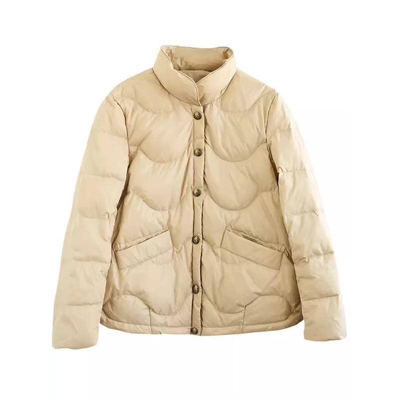 Literary and retro down jacket women's short 2025 winter light stand-up collar warm small temperament casual top tide