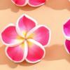 Soft Pottery Egg Flower Shell Hand-woven Necklace Bracelet Anklet Set Pink Beach Wind 18 Hours Delivery