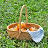 Rattan Organizerkorb mit Griff Großer Behälter für Gemüse, Obst und Kleinkram im Schlafzimmer