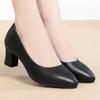 Women's Professional Commuting Shoes with Long Standing Periods: Black Soft-soled Leather High Heels and Chunky Heels
