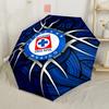 Accessoires – Regenschirme