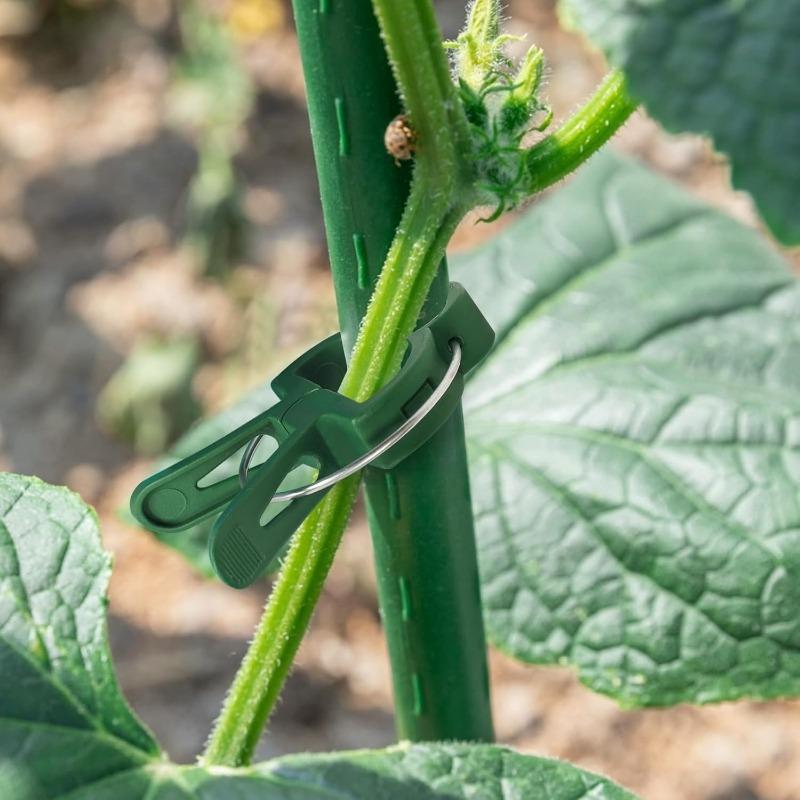 20pcs Plant Fixed Clips Reusable Garden Greenhouse Bracket Garden Plants Vine Climbing Clamp Flower Tomato Support Fastener