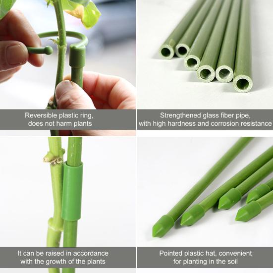 6 Pcs Plant Support Stakes Extendable Support Stakes Orchid Sticks with Ring Clips for Indoor Outdoor Plant Tomato Vegetables Monstera