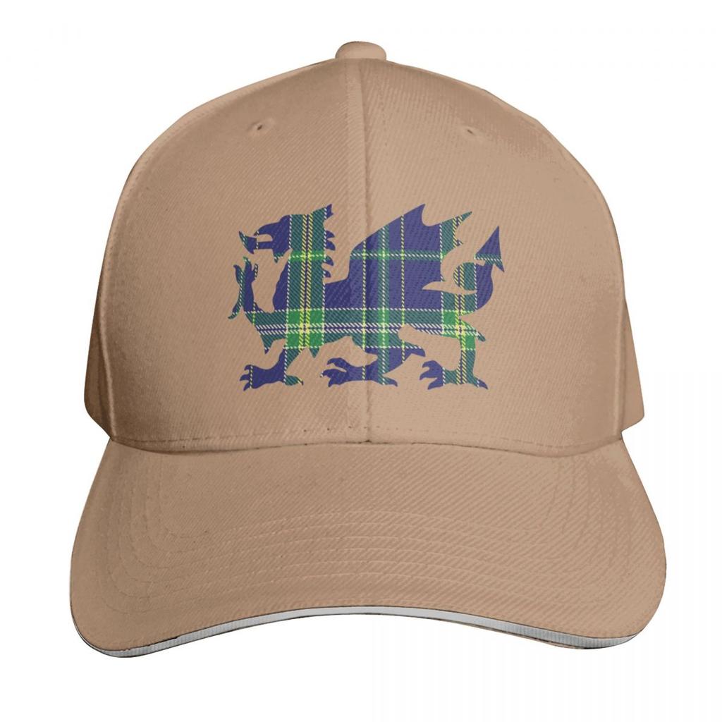 Lewis Family Welsh Dragon Tartan Baseball Cap Snapback Cap Visor Bobble Hat Luxury Hat Caps For Women Unisexs