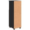 Black Bathroom Cabinet with Storage and Door 30 x 35 x 95 cm