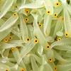 10Pcs/Lot Fishing Soft Lure Luminous Fishing Lure 5Cm 1.3G Artificial Silicone Bait Worm Sea Wobbler Swimbaits For Bass Tackle