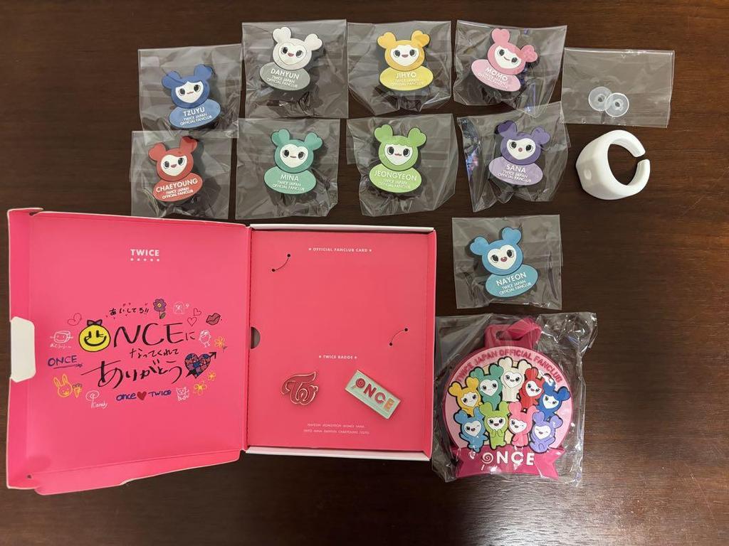 [USED] TWICE Penlight Decoration Ring