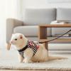 Escape-Proof Hamster Harness Adjustable Rabbit Vest Leash Durable Pet Traction Rope  Training