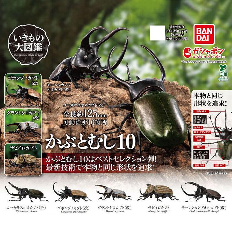 Beetle Insect Model Articulated Realistic 10 Joints Desktop Decor Ornament Chalcosoma Chiron Dynastes Grantii