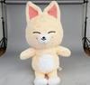 50CM Stray Kids Teddy Plush Hug Pillow Doll Fans Gift Plush Toy Seoul FM Week Cloak Doll Magic School Kid Birthday Gift