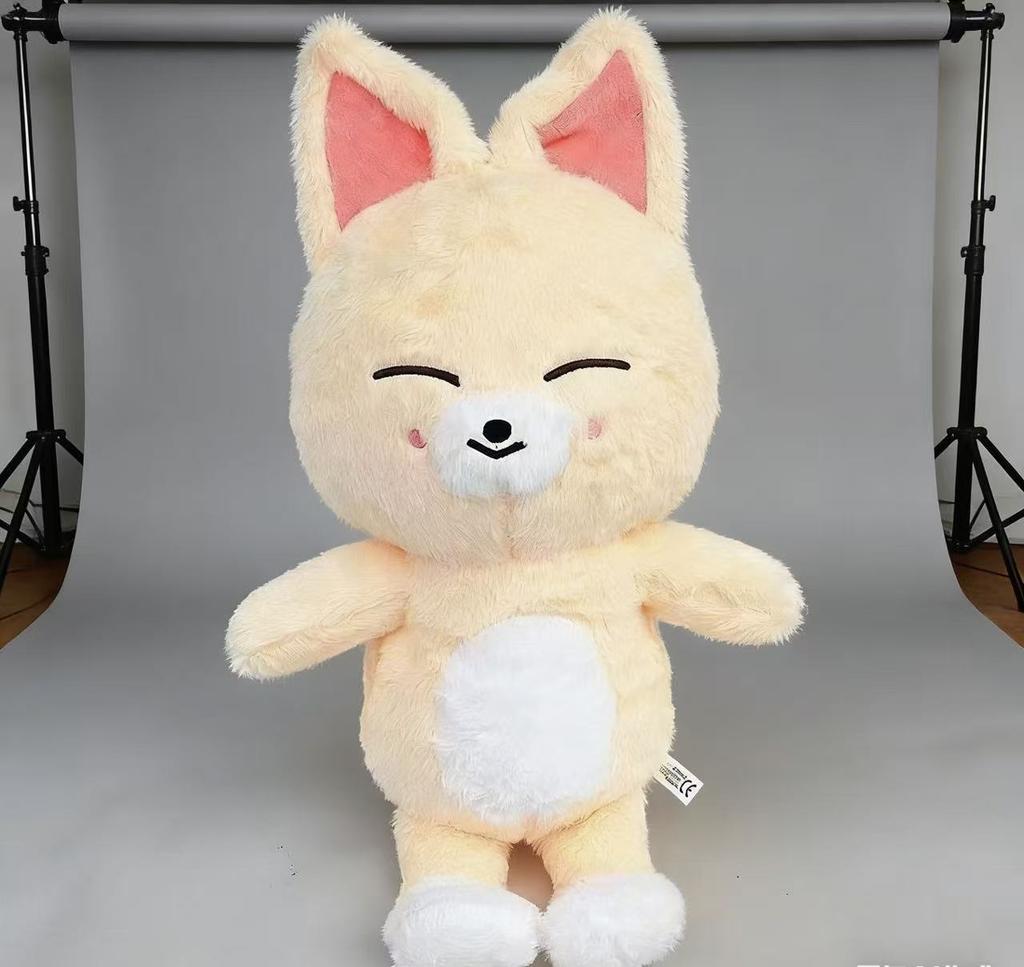 50CM Stray Kids Teddy Plush Hug Pillow Doll Fans Gift Plush Toy Seoul FM Week Cloak Doll Magic School Kid Birthday Gift