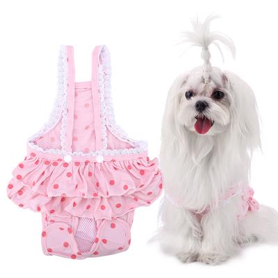 Köpek – Köpek bakım ürünleri