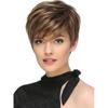 Women's Front Lace Heat Resistant Short Straight Wig with Side Bangs Brown and Blonde Mixed Wig