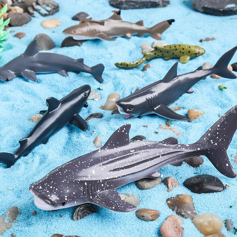 Marine Animal Model Set Plastic Realistic Ocean Creatures For Collectors And Kids