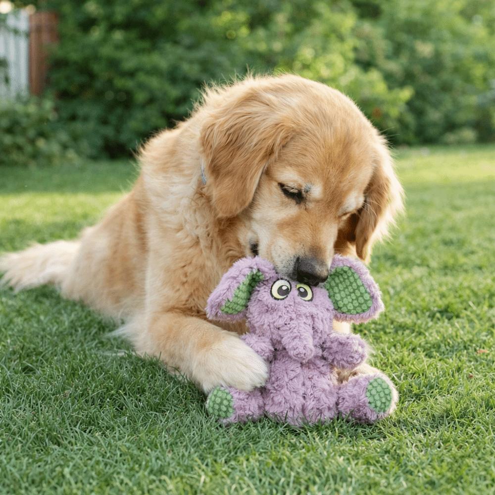 Wear Resistant Squeaky Plush Dog Doll Cartoon Interactive Dog Toy Dog Molar Toy  Puppy Training