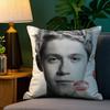 Singer Pillow Case Sofa Living Room Bedroom Double-sided Printing N-Niall Horan Square Cushion Nap Time Pillow Case