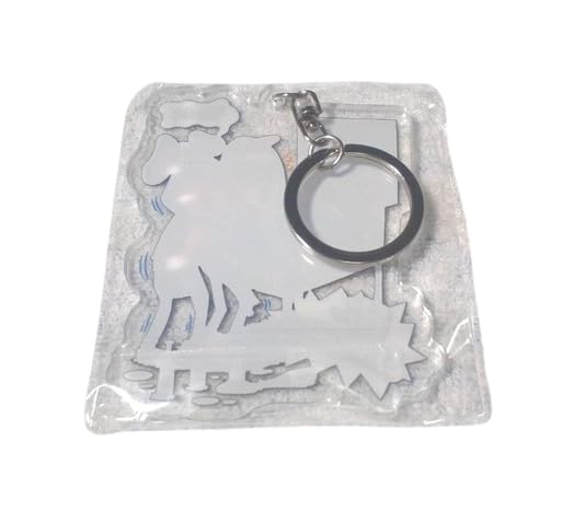 [PIZZA OF DEATH RECORDS] Hi-STANDARD TM paint acrylic keychain