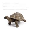 Figurine Statique Modèle Tortue Terrestre en PVC pour Enfants avec Design Réaliste pour Collectionneurs et Enfants