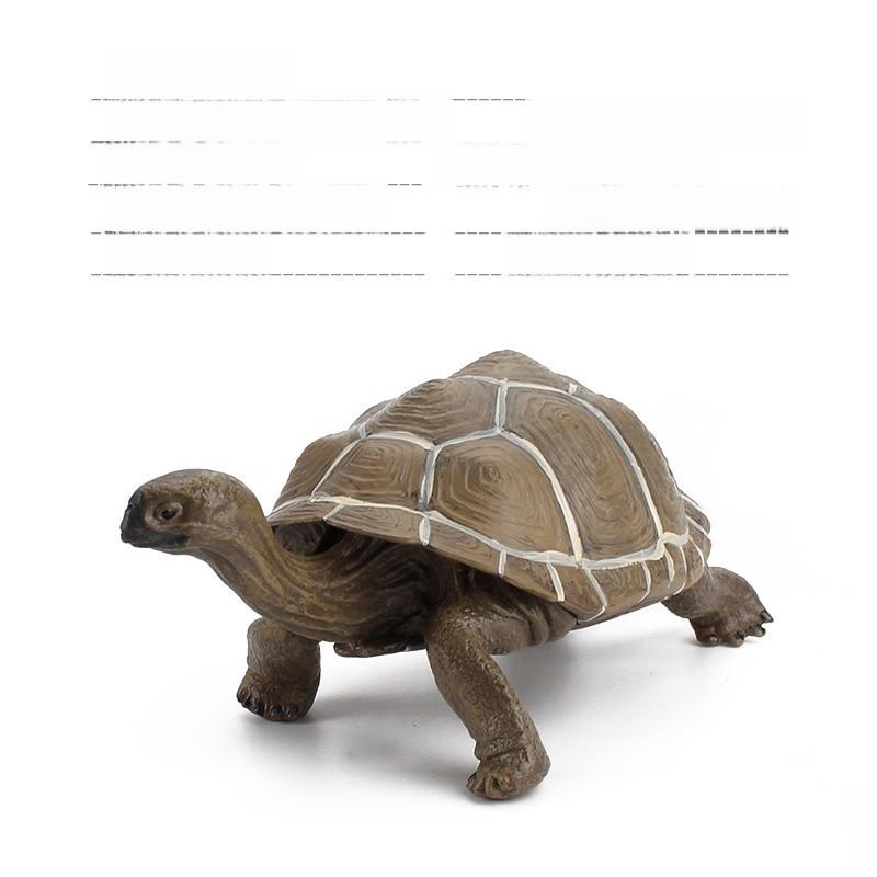 Figurine Statique Modèle Tortue Terrestre en PVC pour Enfants avec Design Réaliste pour Collectionneurs et Enfants