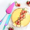 Stainless Steel Cake & Pizza Cutter and Spatula Set with Gift Box