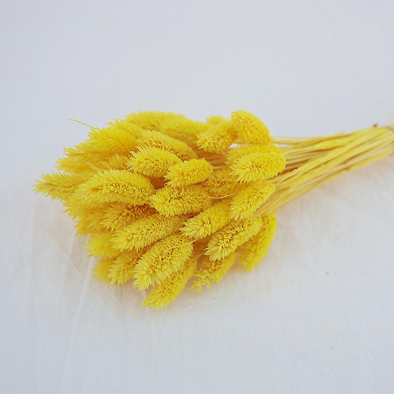Natural Dried Statice Flower Bouquet - Everlasting Decoration for Vase & DIY Arrangements
