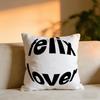 Felix Cushion Cover Cozy Velvet Throw PillowSoft Warm Cushion For Sofa  Bed