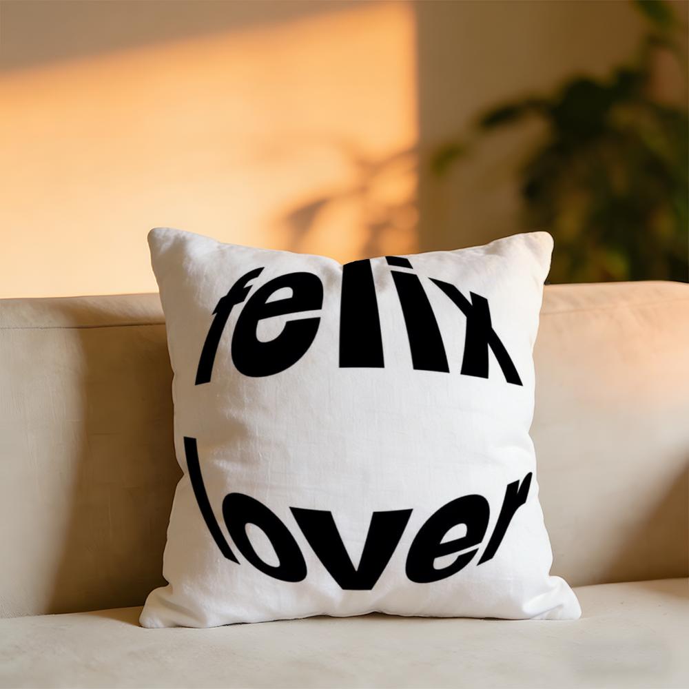 Felix Cushion Cover Cozy Velvet Throw PillowSoft Warm Cushion For Sofa  Bed