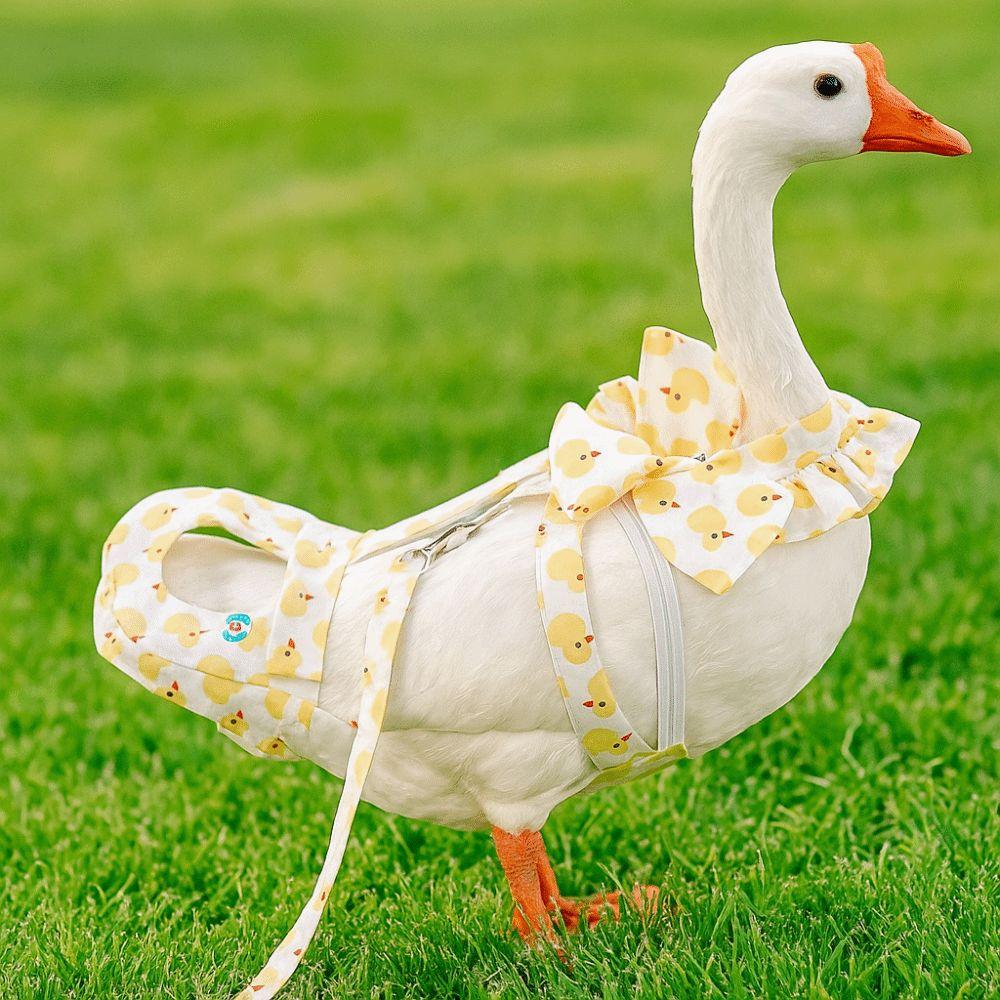 Cartoon Cute Pet Duck Diaper Wearable Reusable Goose Breast Strap Adjustable Reduce Odor Chicken Diapers Pet Supplies