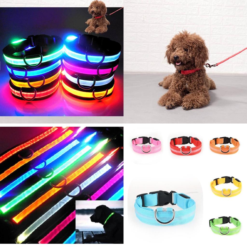 Brightly Colored Led Dog Collar Rechargeable Light-up Neckband For All Size Dogs