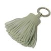 Used 9212 Carmen 7950 Pastel Light Green Charm Key Ring, Unused Logo Ring 13732 Veil Fizz W Unisex from Japan AUTHENTIC